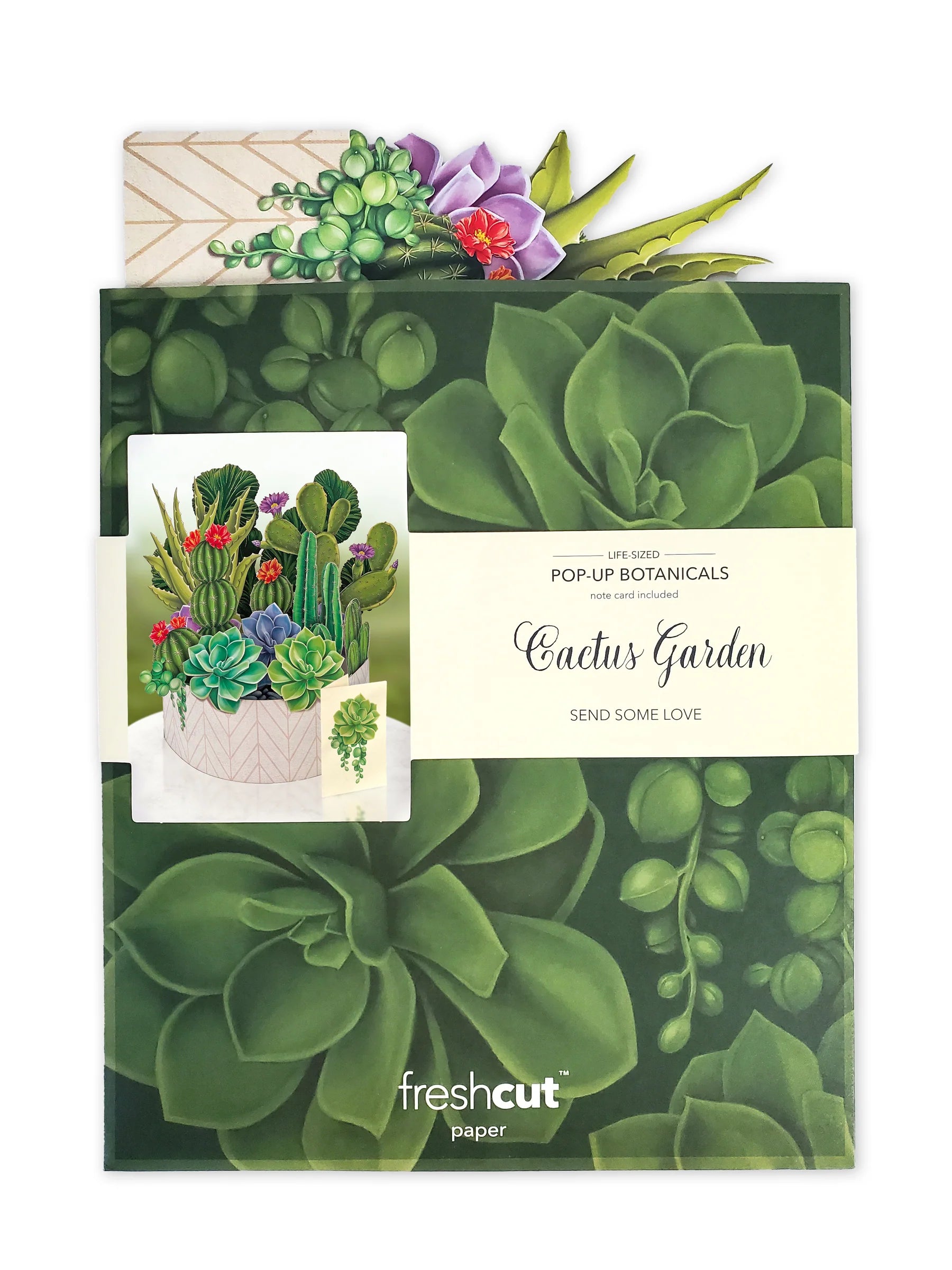 Cactus Garden Pop Up Flower Bouquet Greeting Card    