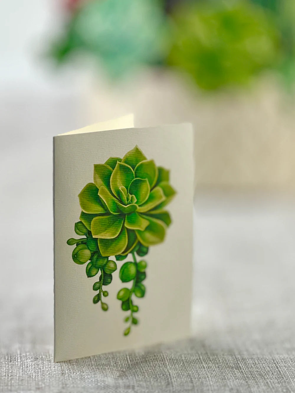 Cactus Garden Pop Up Flower Bouquet Greeting Card    