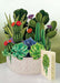 Cactus Garden Pop Up Flower Bouquet Greeting Card    