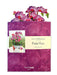 Orchid Oasis Pop Up Flower Bouquet Greeting Card    