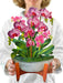 Orchid Oasis Pop Up Flower Bouquet Greeting Card    