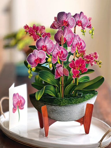 Orchid Oasis Pop Up Flower Bouquet Greeting Card    