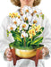Serenity Orchid Pop Up Flower Bouquet Greeting Card    