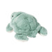 Jade Mint Turtle    