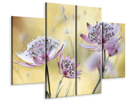 4-piece-canvas-print-astrantia-major