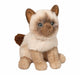 Fu Siamese Cat    