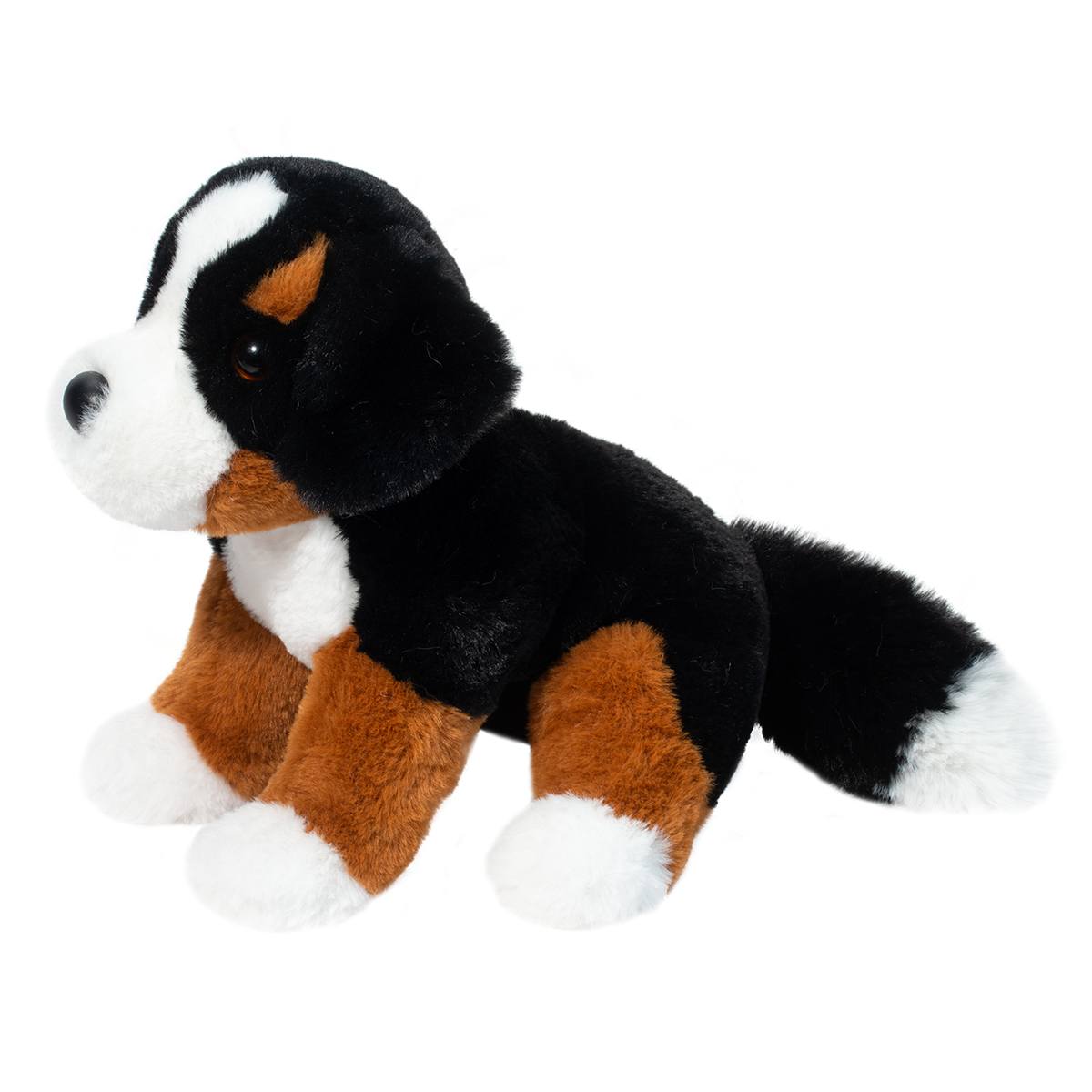 Bowie Bernese Mountain Dog