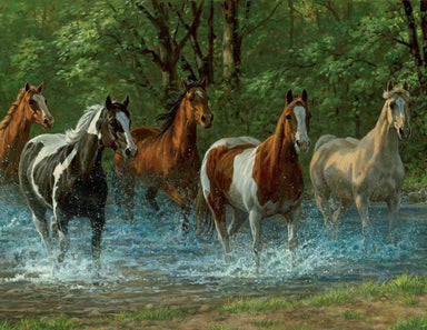 Summer Creek 500 Piece Puzzle
