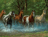 Summer Creek 500 Piece Puzzle