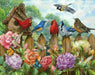 The Morning Serenade 500 Piece Puzzle