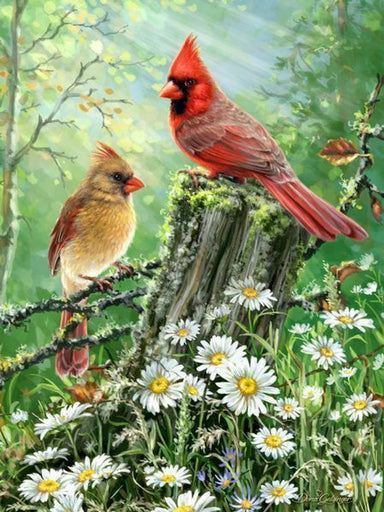 Golden Light 500 Piece Puzzle