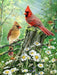 Golden Light 500 Piece Puzzle