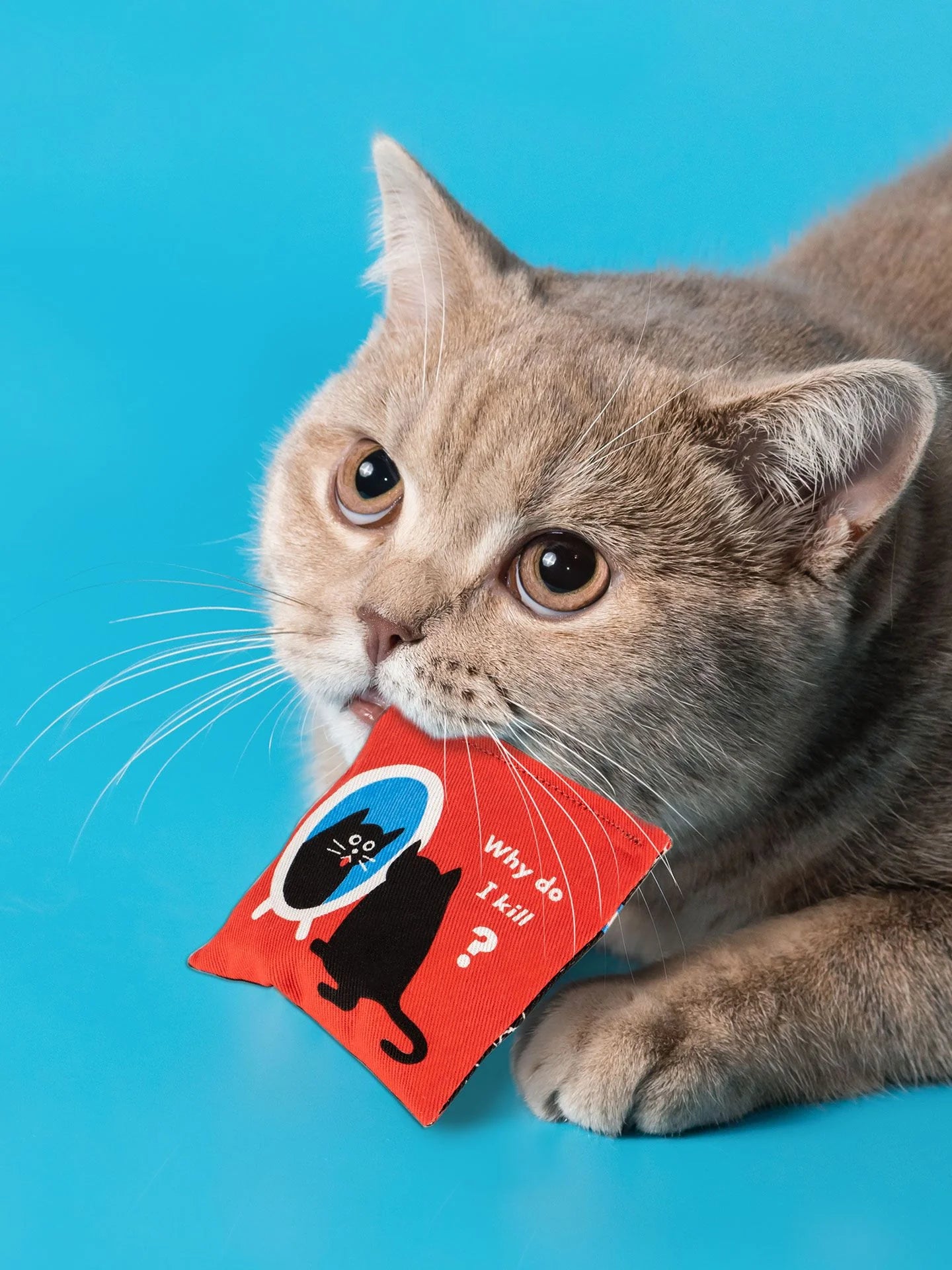 BLUQ Existential Kitty Catnip Toy