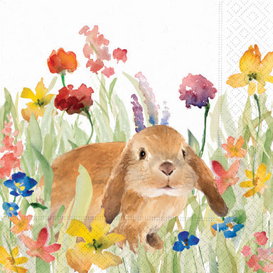 DD NPKN L WILDFLWR BUNNY