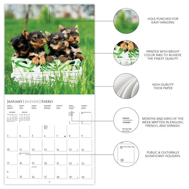Puppy Love 2027 Wall Calendar