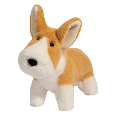Carl Corgi Muzzle Dog