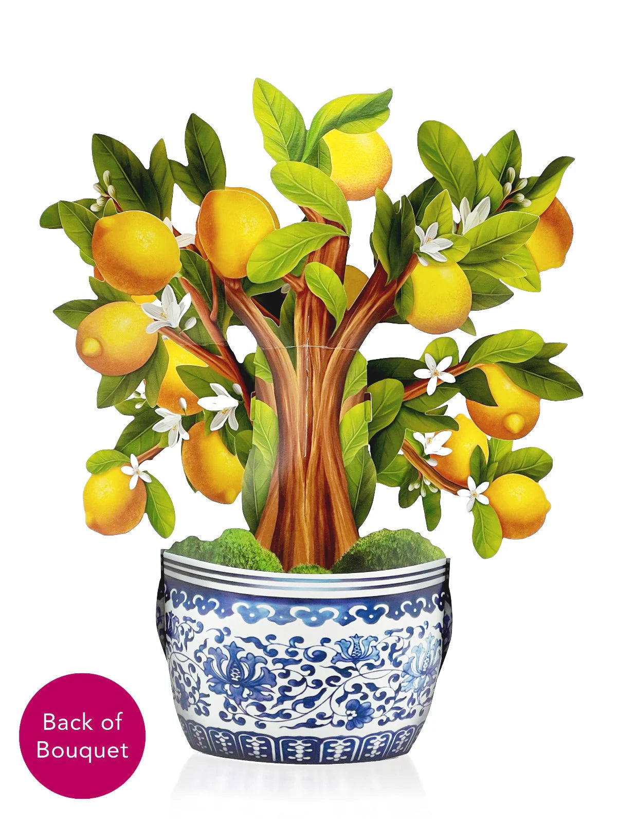 Lemon Blossom Tree Pop Up Flower Bouquet Greeting Card    