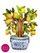 Lemon Blossom Tree Pop Up Flower Bouquet Greeting Card    