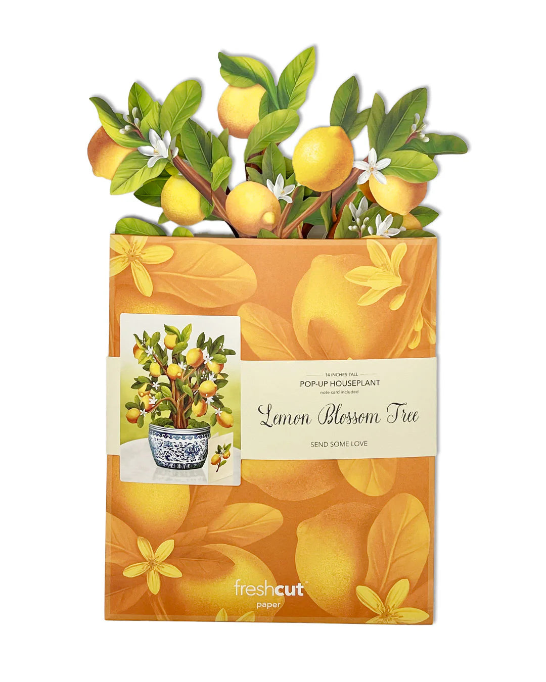 Lemon Blossom Tree Pop Up Flower Bouquet Greeting Card    