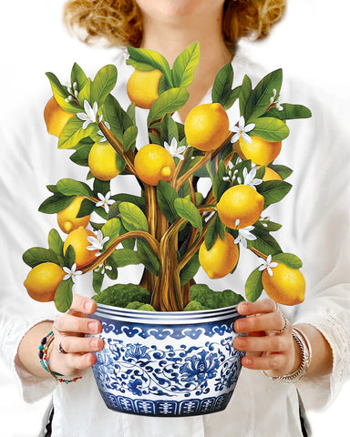 Lemon Blossom Tree Pop Up Flower Bouquet Greeting Card    