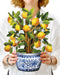 Lemon Blossom Tree Pop Up Flower Bouquet Greeting Card    