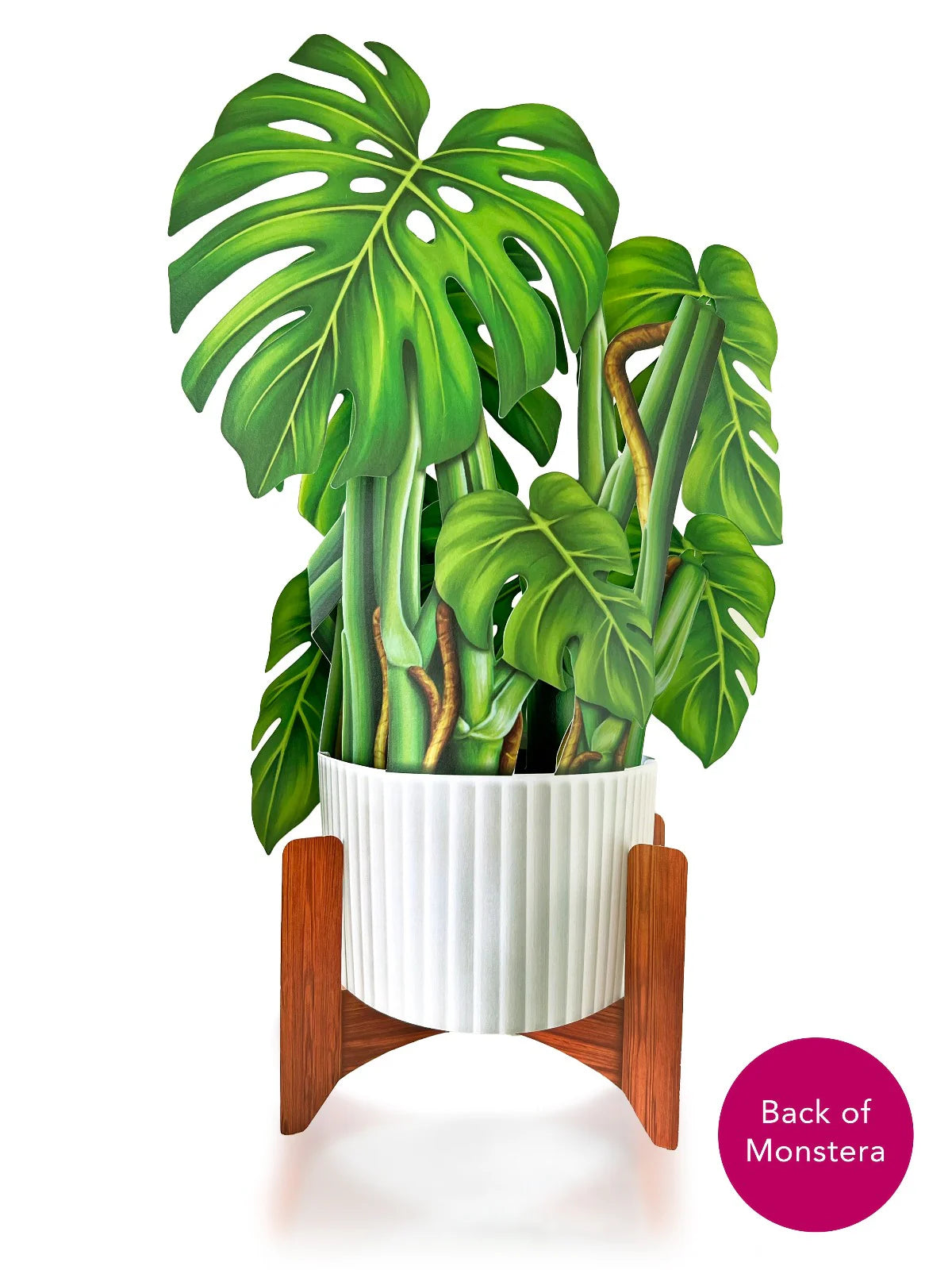 Monstera Pop Up Flower Bouquet Greeting Card    