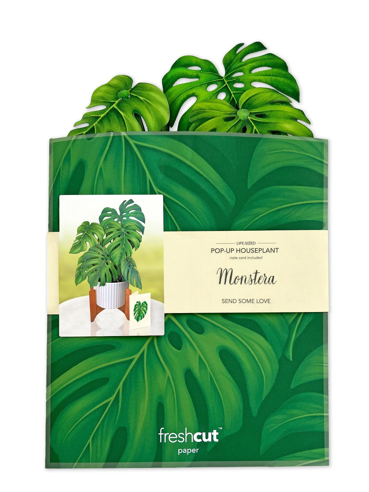 Monstera Pop Up Flower Bouquet Greeting Card    