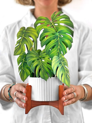 Monstera Pop Up Flower Bouquet Greeting Card    