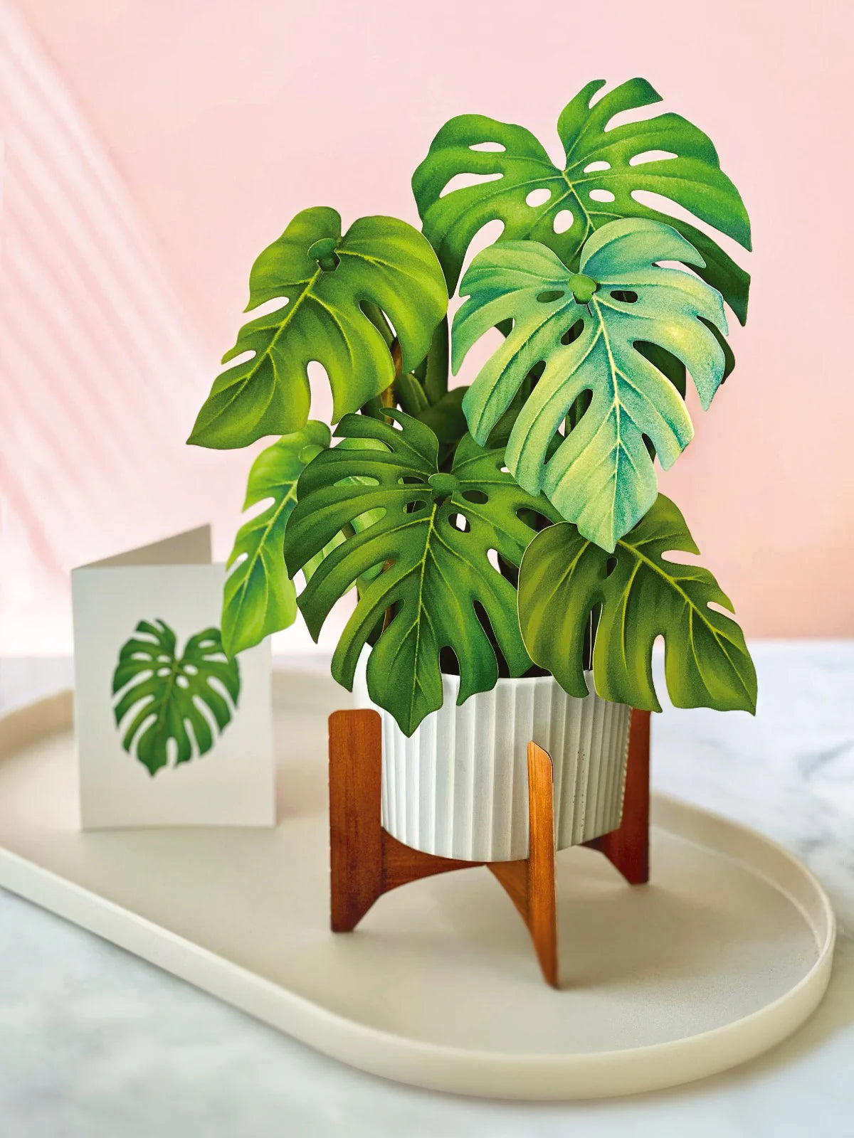 Monstera Pop Up Flower Bouquet Greeting Card    