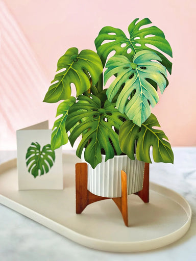 Monstera Pop Up Flower Bouquet Greeting Card    