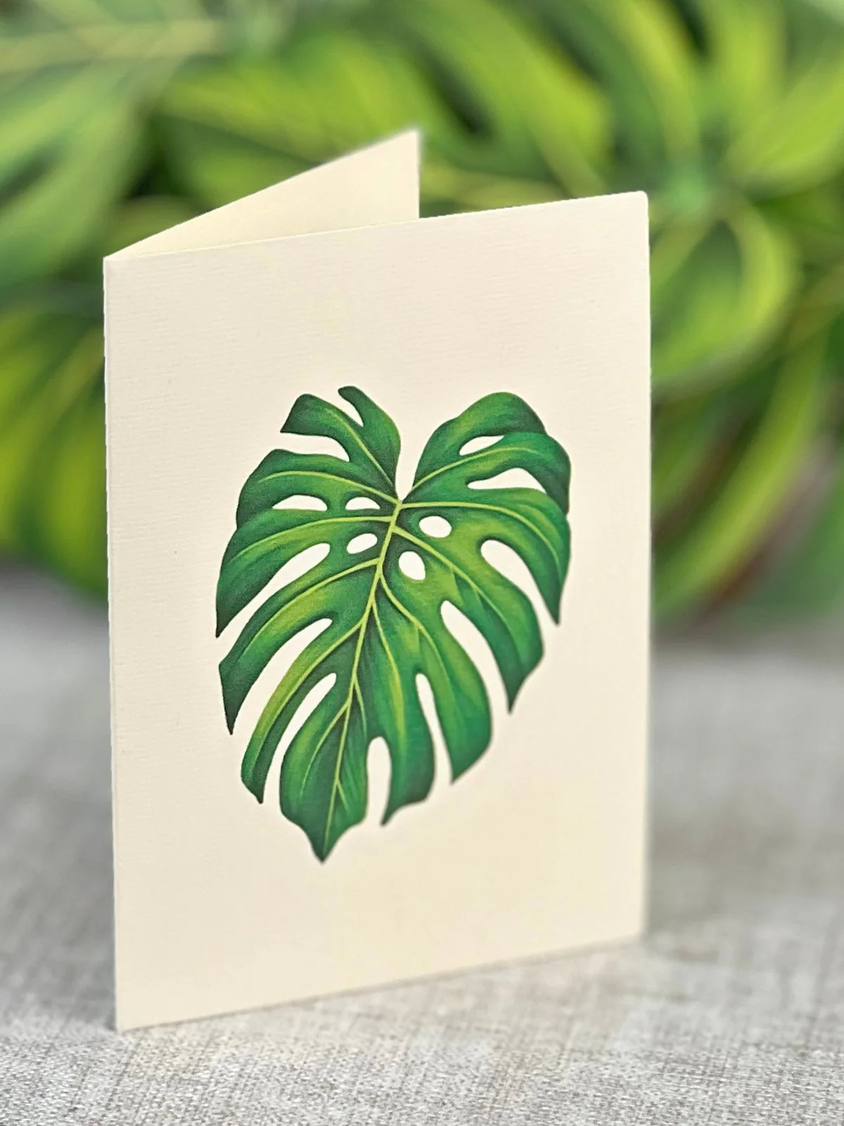 Monstera Pop Up Flower Bouquet Greeting Card    