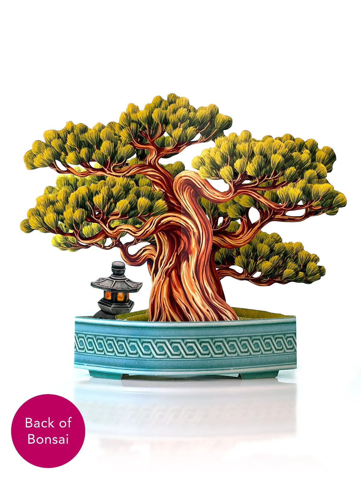 Wisdom Bonzai Pop Up Flower Bouquet Greeting Card    