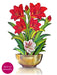 Scarlet Amaryllis Pop Up Flower Bouquet Greeting Card    