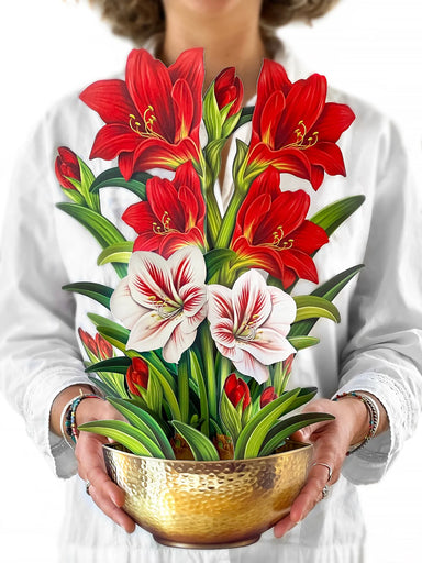 Scarlet Amaryllis Pop Up Flower Bouquet Greeting Card    