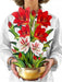 Scarlet Amaryllis Pop Up Flower Bouquet Greeting Card    