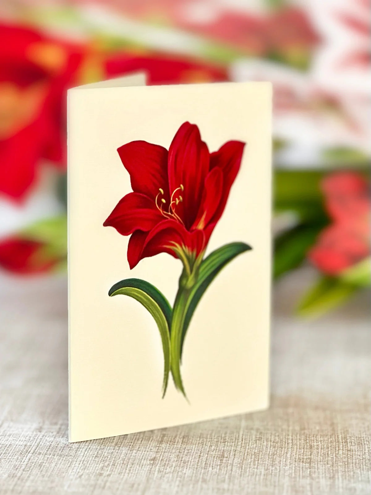 Scarlet Amaryllis Pop Up Flower Bouquet Greeting Card    