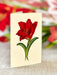 Scarlet Amaryllis Pop Up Flower Bouquet Greeting Card    