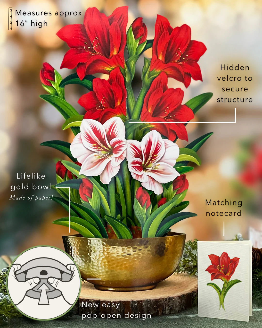 Scarlet Amaryllis Pop Up Flower Bouquet Greeting Card    