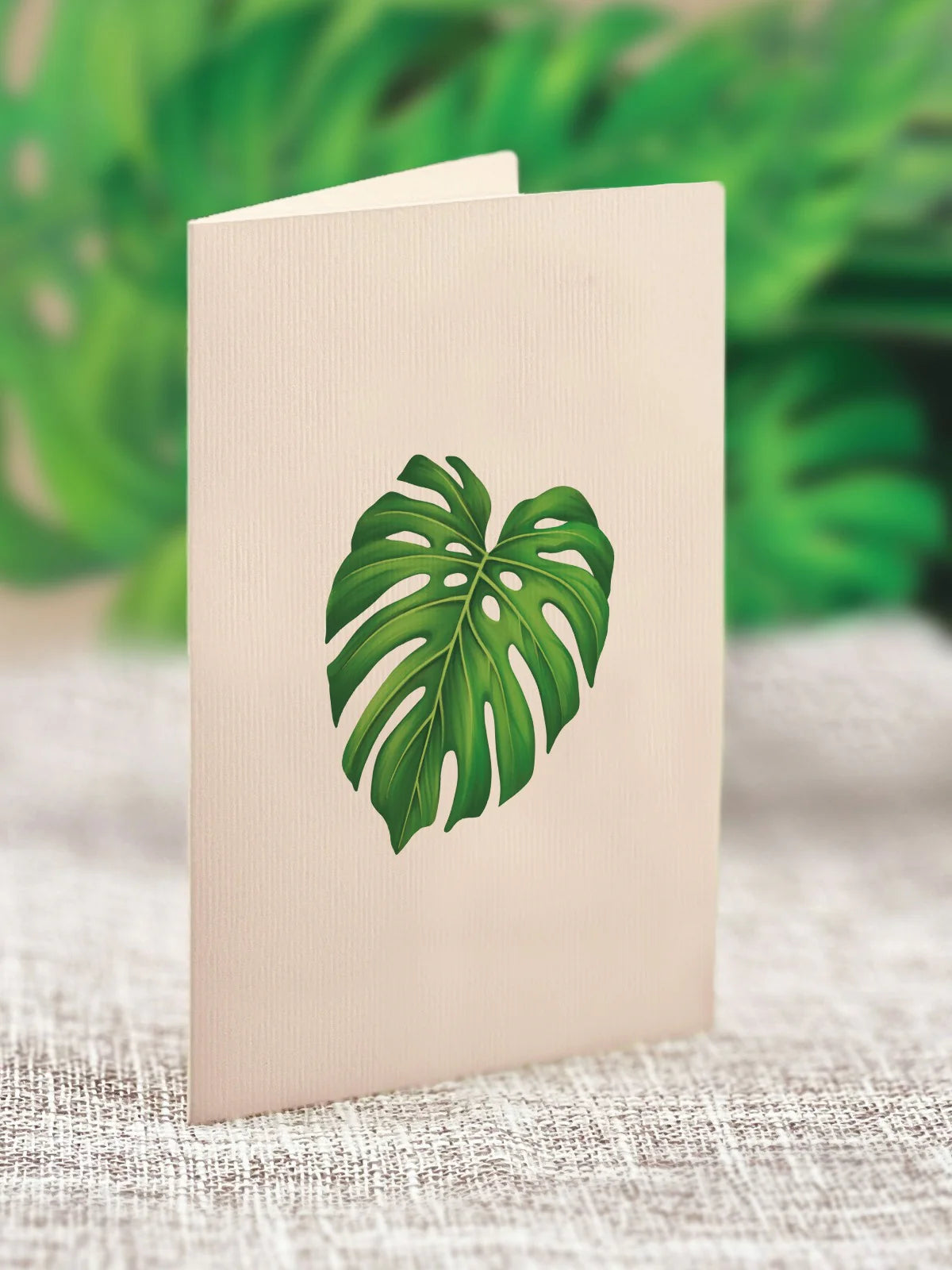 Monstera Mini Pop Up Flower Bouquet Greeting Card    
