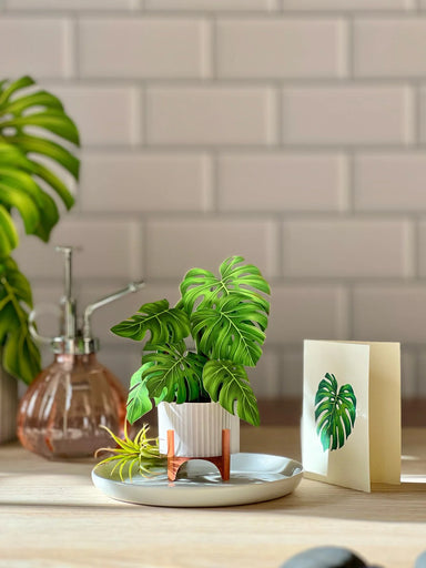 Monstera Mini Pop Up Flower Bouquet Greeting Card    