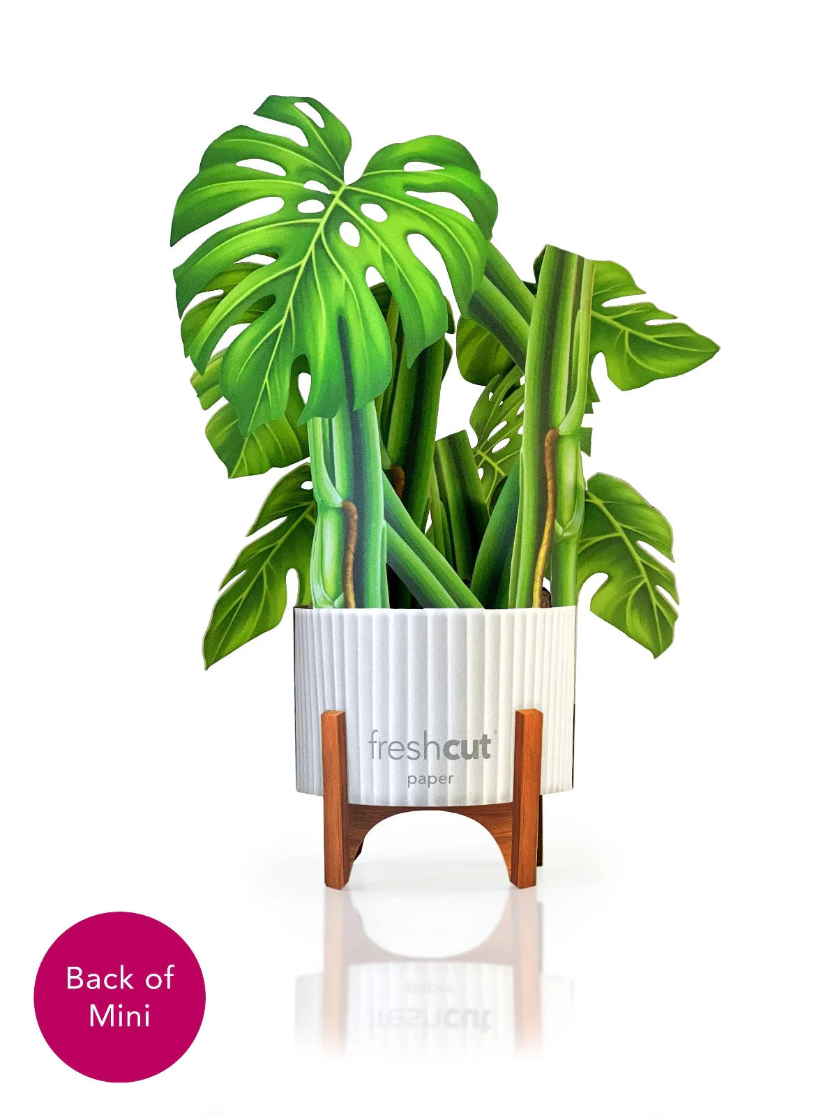 Monstera Mini Pop Up Flower Bouquet Greeting Card    