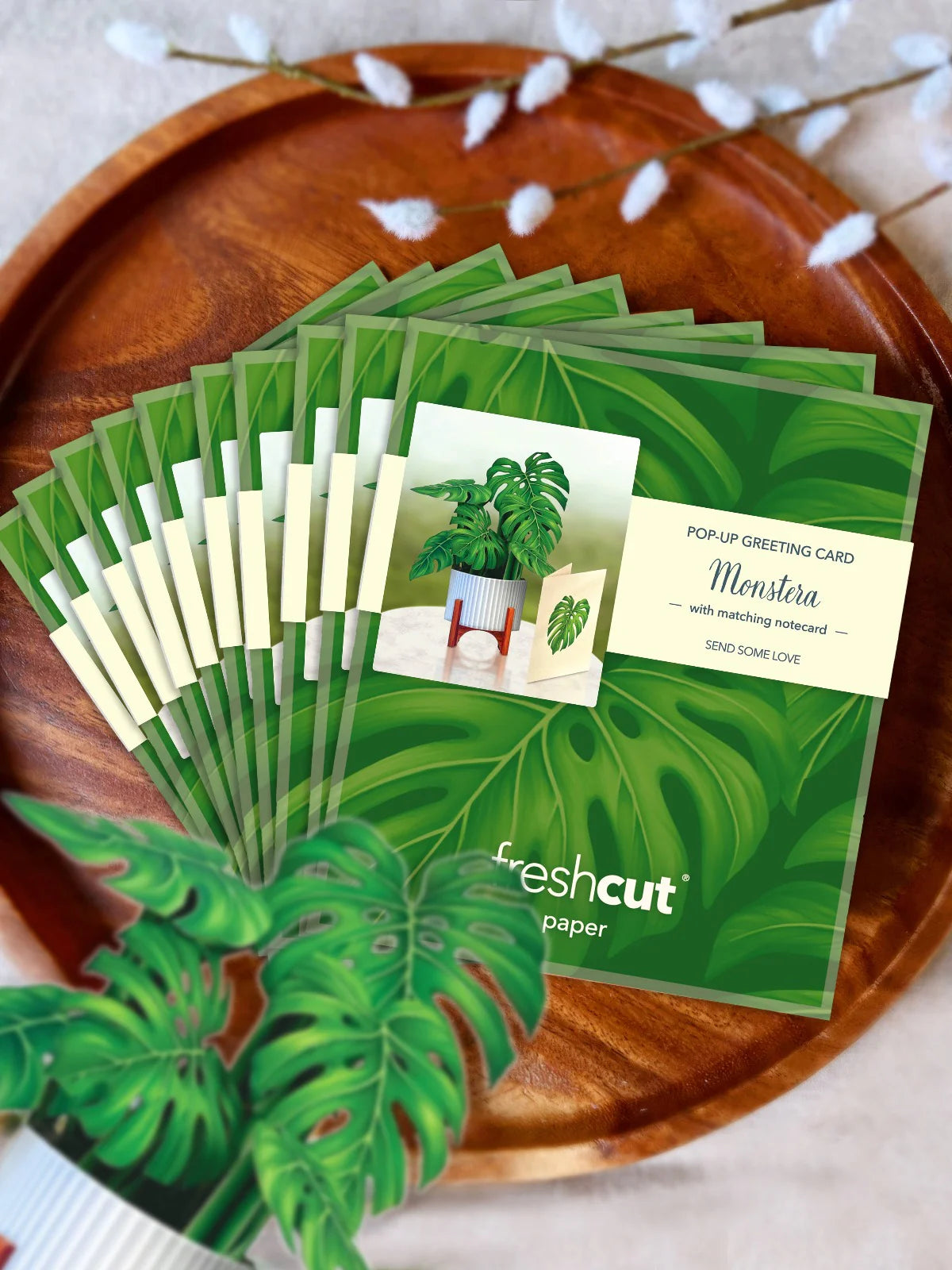 Monstera Mini Pop Up Flower Bouquet Greeting Card    