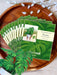 Monstera Mini Pop Up Flower Bouquet Greeting Card    