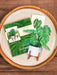 Monstera Mini Pop Up Flower Bouquet Greeting Card    