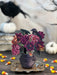 Moonlit Garden Mini Pop Up Flower Bouquet Greeting Card    