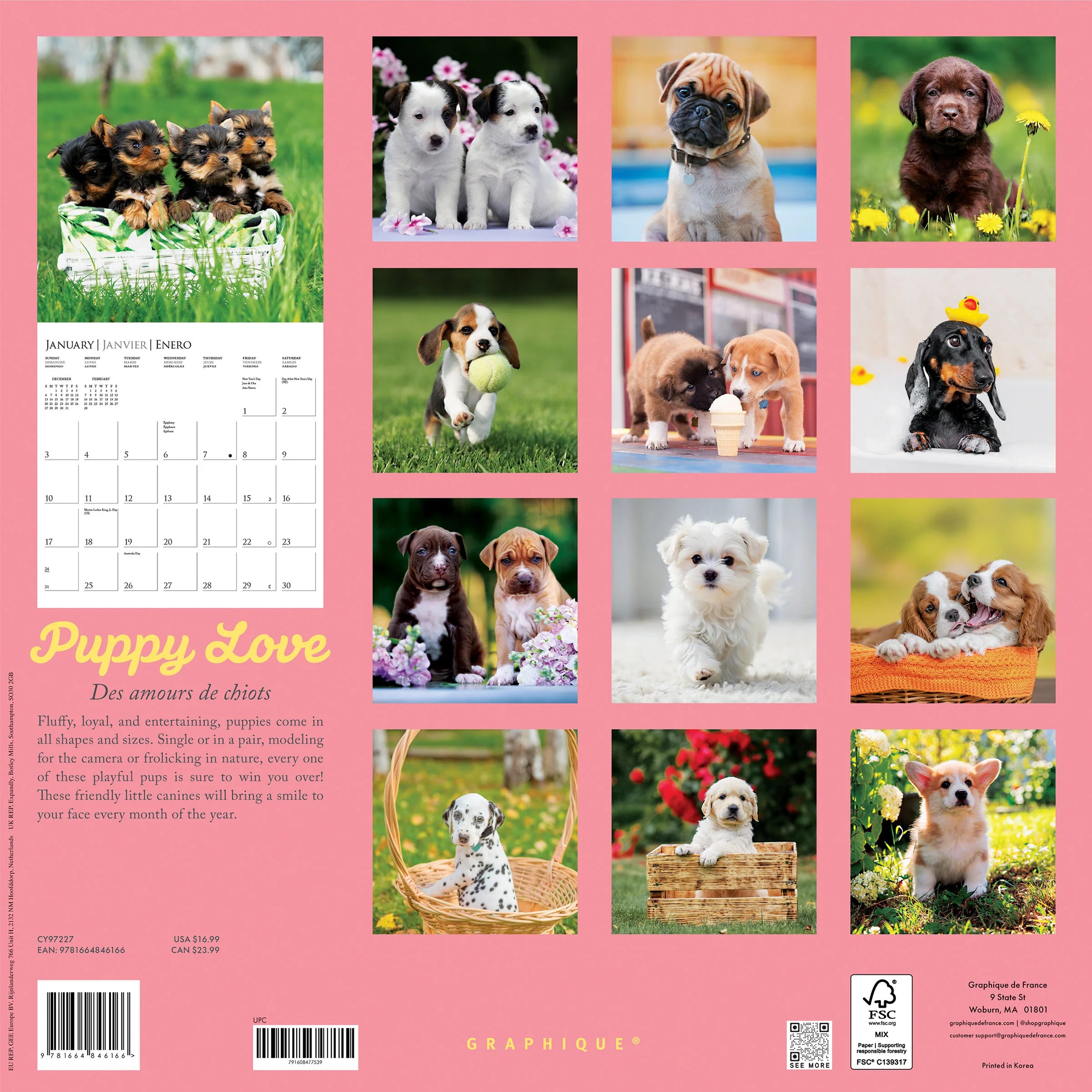 GRPH Puppy Love 2027 Wall Calendar