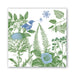 Cotton & Linen Luncheon Napkins    