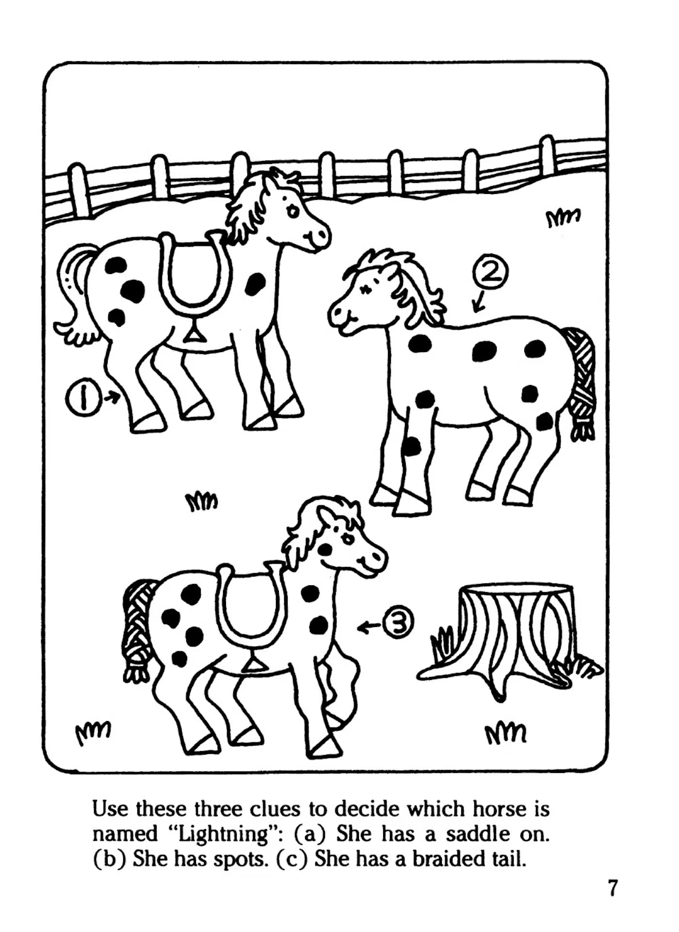 DVR Farm Activity Book