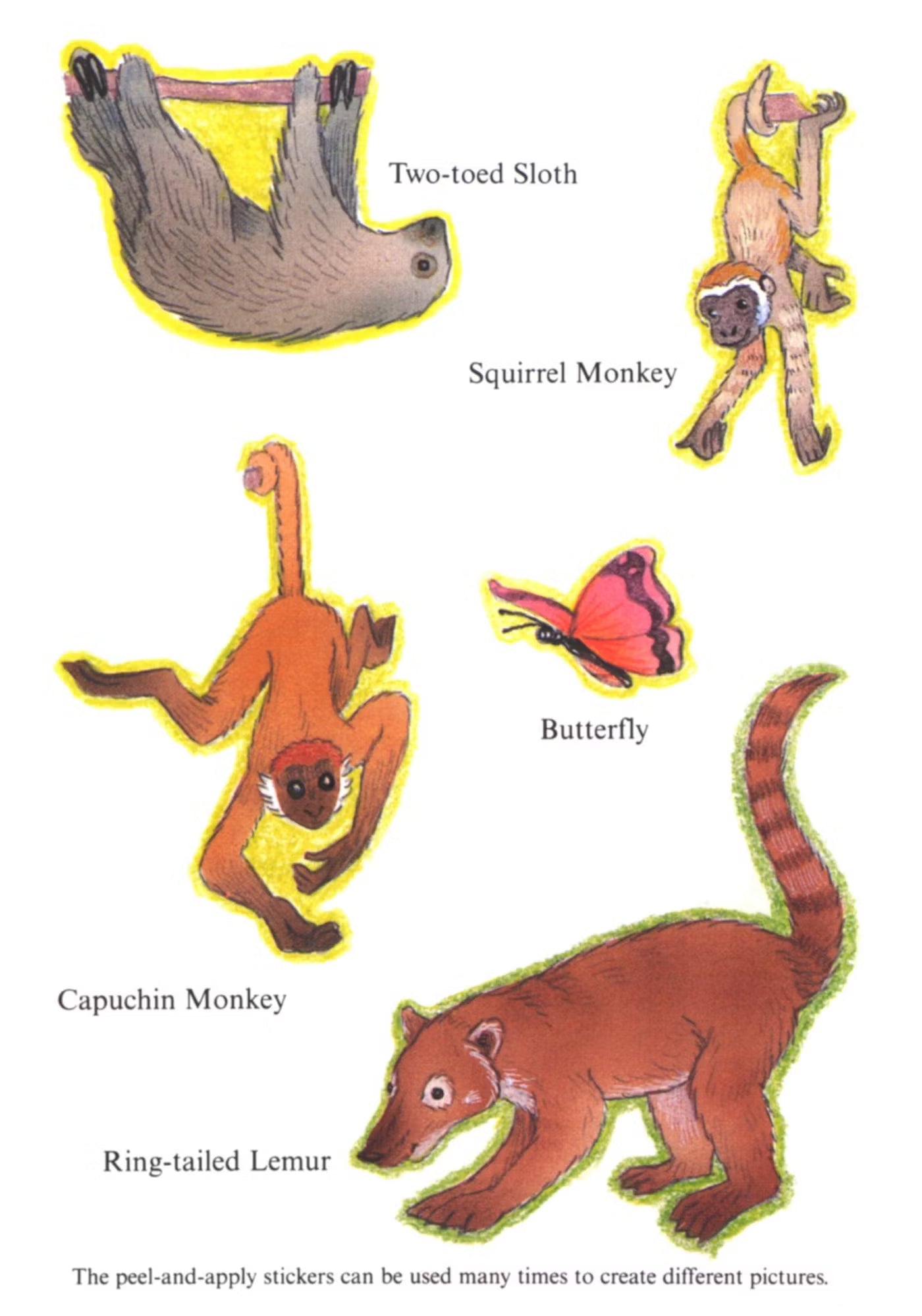 My Rain Forest Sticker Activity Book
