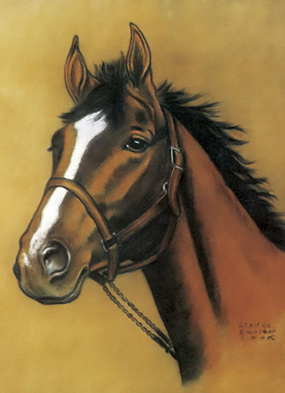 Horses Blank Notebook